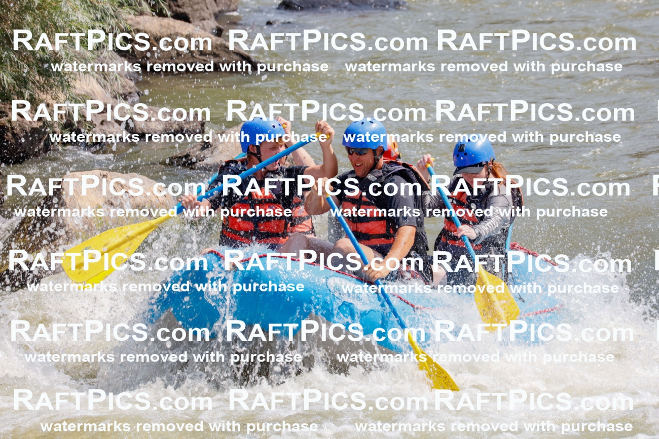 006418_July-25_New-Wave_RAFTPICS_Racecourse-AM_SWBen