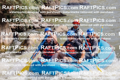 006419_July-25_New-Wave_RAFTPICS_Racecourse-AM_SWBen