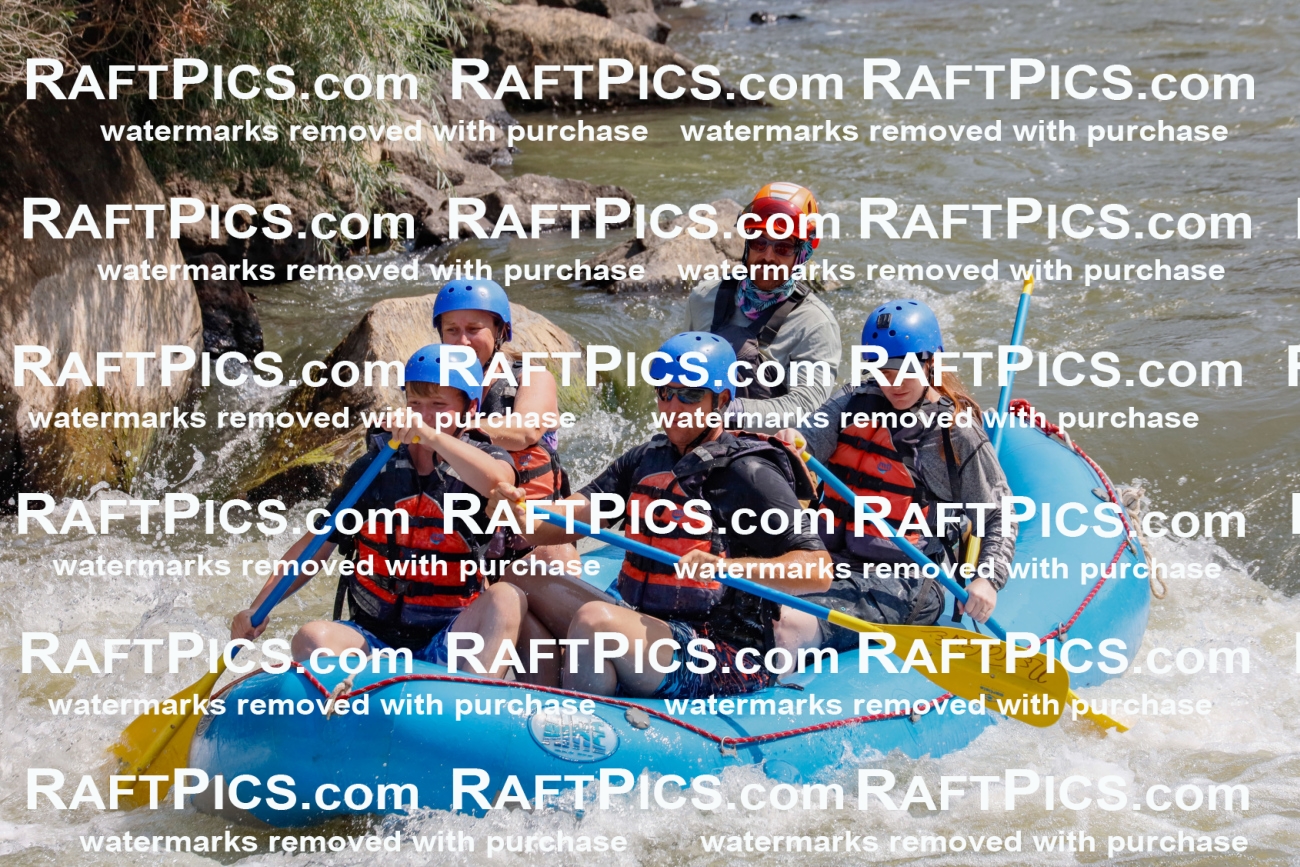 006420_July-25_New-Wave_RAFTPICS_Racecourse-AM_SWBen