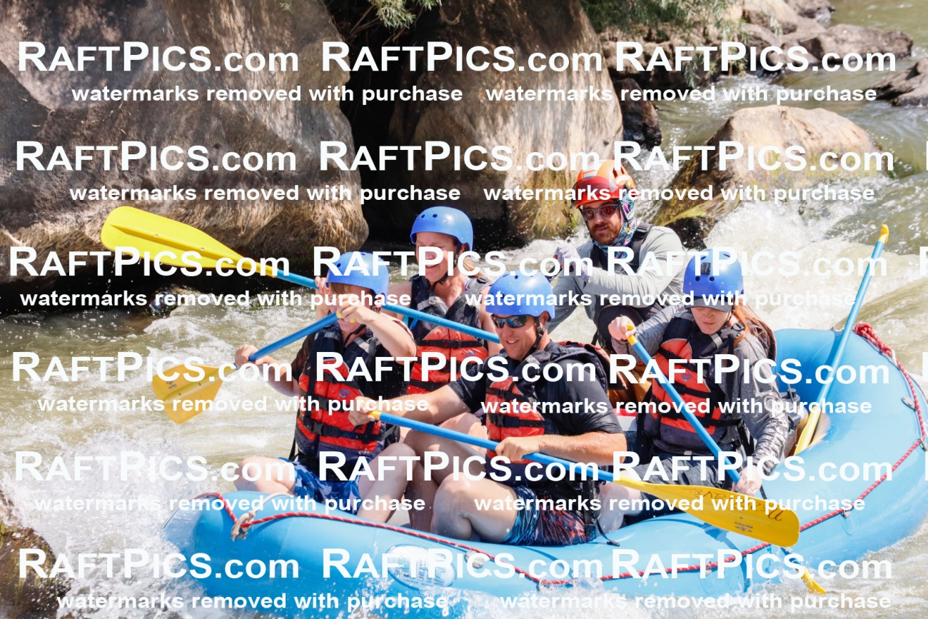 006424_July-25_New-Wave_RAFTPICS_Racecourse-AM_SWBen