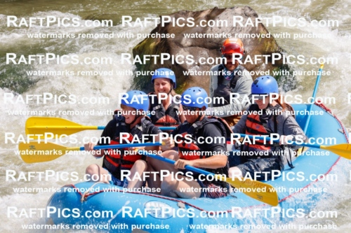 006430_July-25_New-Wave_RAFTPICS_Racecourse-AM_SWBen