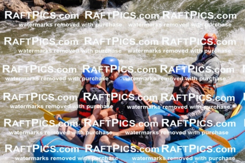 006434_July-25_New-Wave_RAFTPICS_Racecourse-AM_SWBen