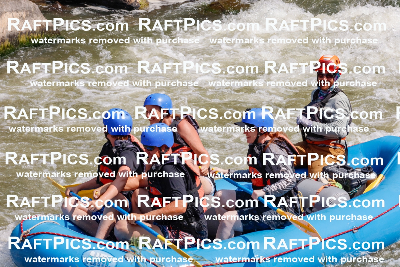 006435_July-25_New-Wave_RAFTPICS_Racecourse-AM_SWBen