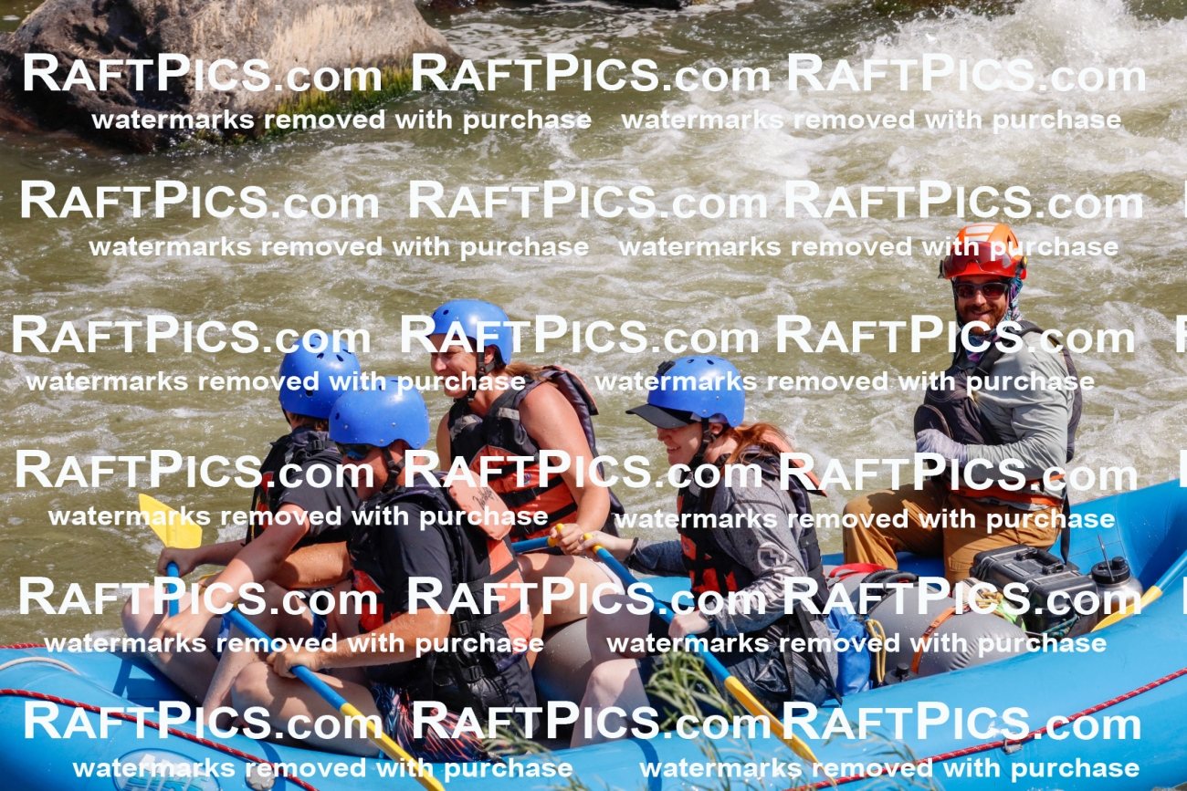 006436_July-25_New-Wave_RAFTPICS_Racecourse-AM_SWBen