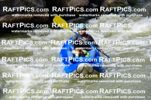 006690_July-25_Big-River_RAFTPICS_Racecourse-PM_LA-Brooklynn_