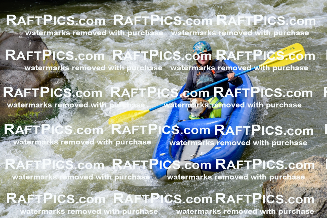 006692_July-25_Big-River_RAFTPICS_Racecourse-PM_LA-Brooklynn_