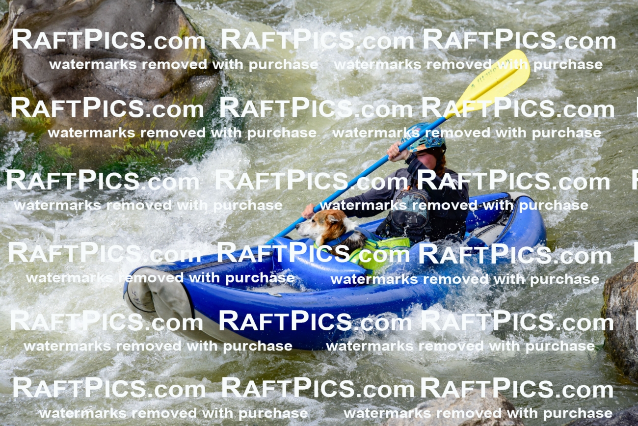 006695_July-25_Big-River_RAFTPICS_Racecourse-PM_LA-Brooklynn_