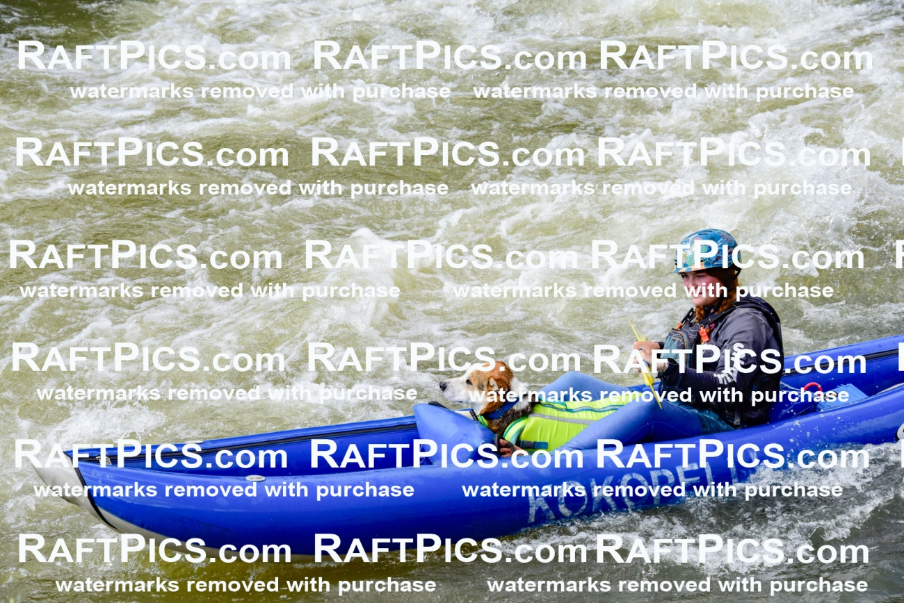 006697_July-25_Big-River_RAFTPICS_Racecourse-PM_LA-Brooklynn_