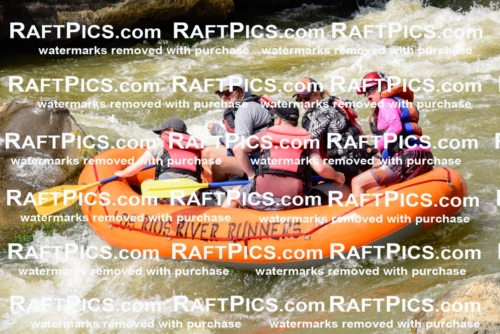 006709_July-25_Los-Rios_RAFTPICS_Racecourse-PM_LA-Boat-3_