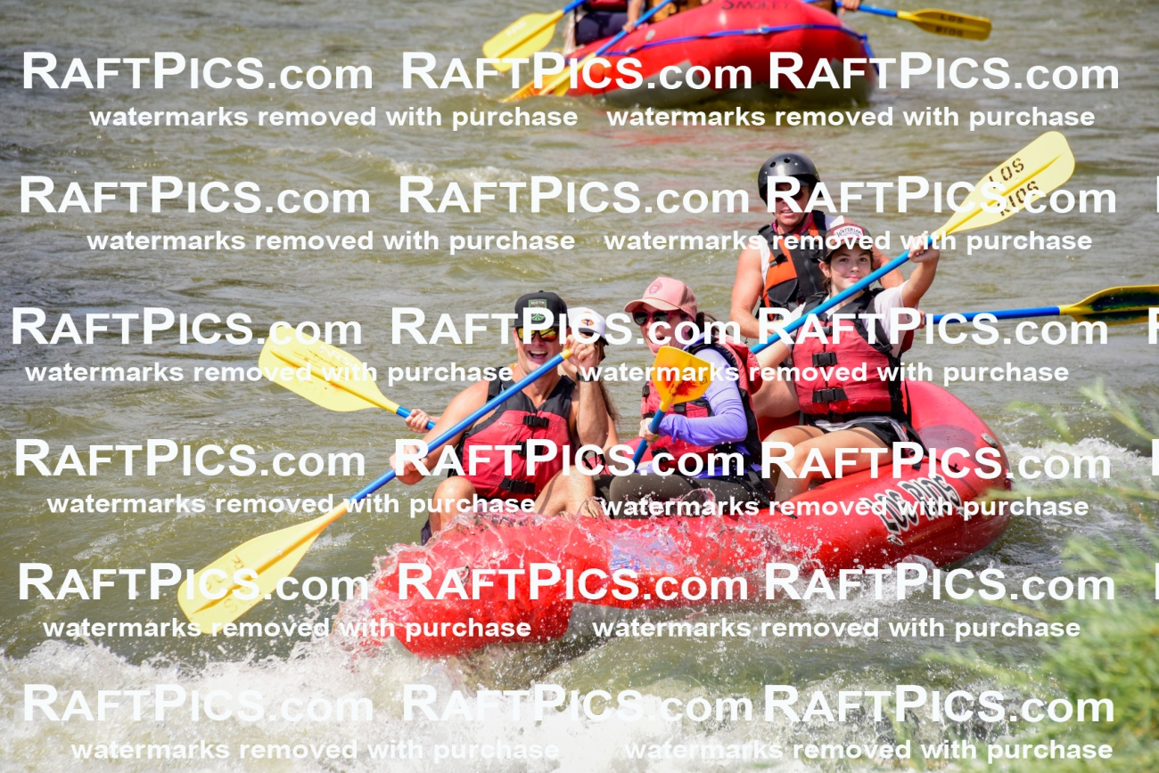 006717_July-25_Los-Rios_RAFTPICS_Racecourse-PM_LA-Blair_