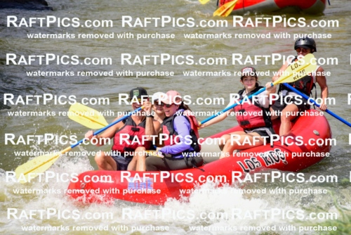 006718_July-25_Los-Rios_RAFTPICS_Racecourse-PM_LA-Blair_