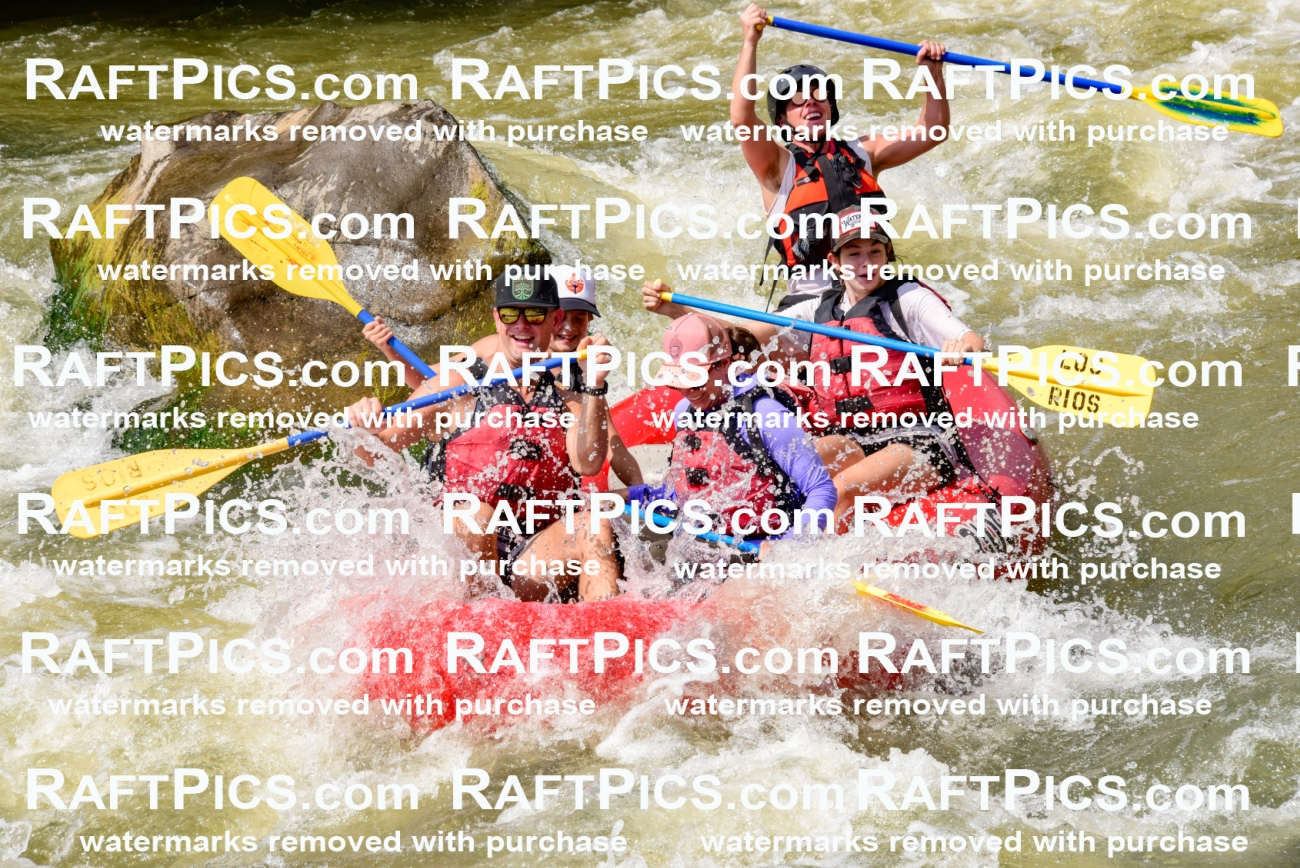 006728_July-25_Los-Rios_RAFTPICS_Racecourse-PM_LA-Blair_