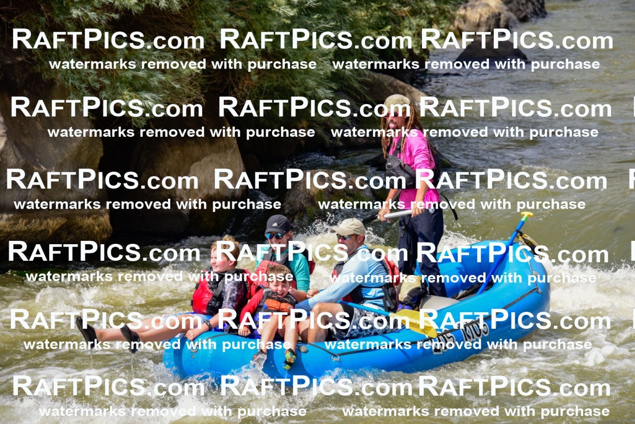 006775_July-25_Los-Rios_RAFTPICS_Racecourse-PM_LA-Brodie_