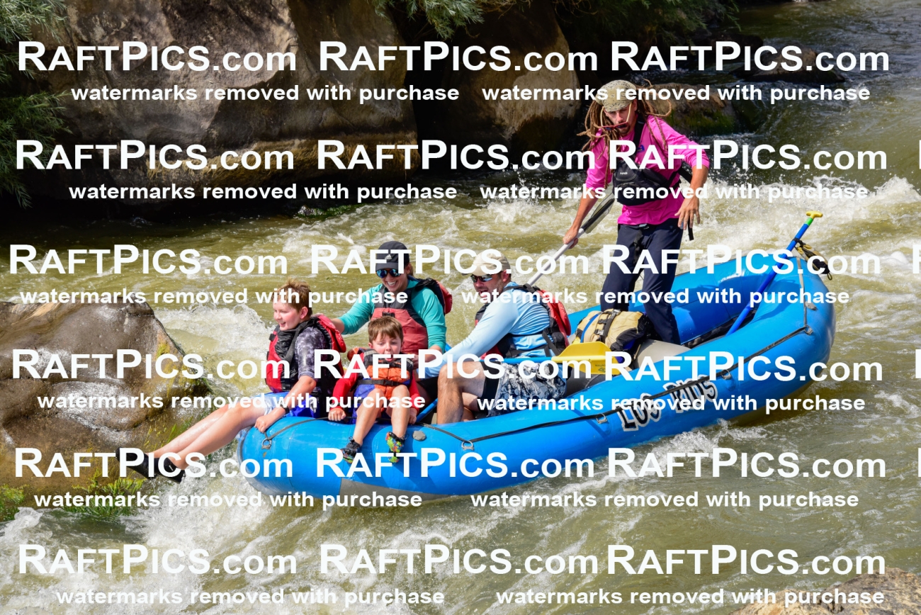 006779_July-25_Los-Rios_RAFTPICS_Racecourse-PM_LA-Brodie_