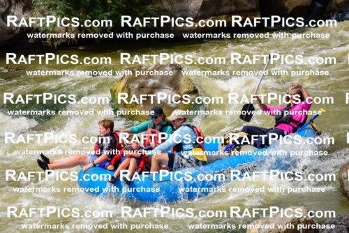 006785_July-25_Los-Rios_RAFTPICS_Racecourse-PM_LA-Brodie_