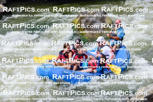 006811_July-25_Los-Rios_RAFTPICS_Racecourse-PM_LA-John_