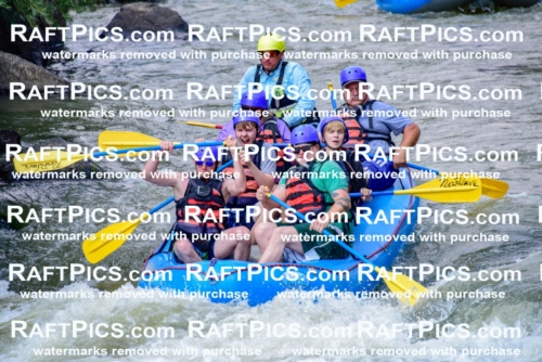 006894_July-25_New-Wave_RAFTPICS_Racecourse-PM_LA-Joey_