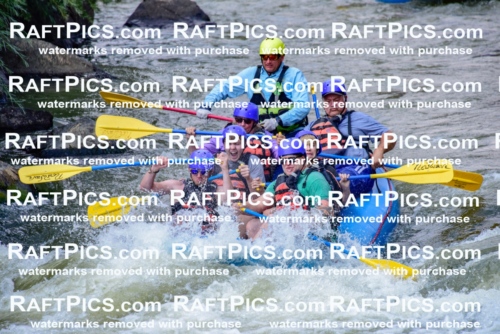 006895_July-25_New-Wave_RAFTPICS_Racecourse-PM_LA-Joey_