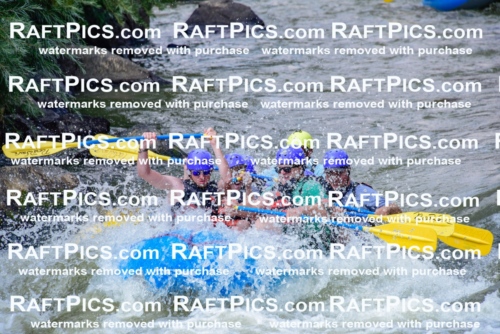 006897_July-25_New-Wave_RAFTPICS_Racecourse-PM_LA-Joey_