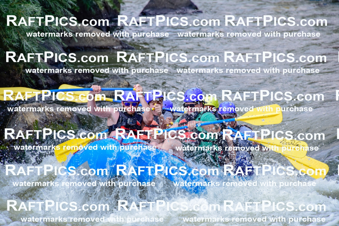 006898_July-25_New-Wave_RAFTPICS_Racecourse-PM_LA-Joey_