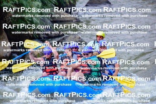 006900_July-25_New-Wave_RAFTPICS_Racecourse-PM_LA-Joey_