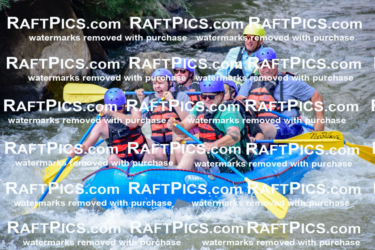 006901_July-25_New-Wave_RAFTPICS_Racecourse-PM_LA-Joey_