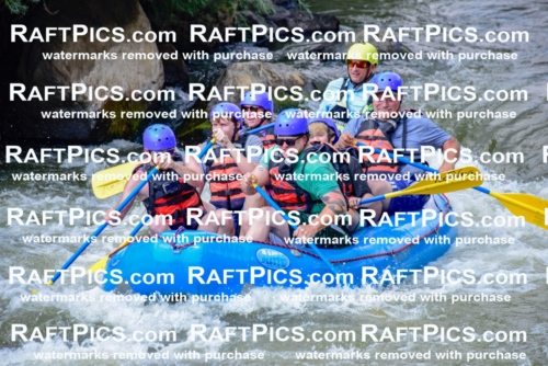 006902_July-25_New-Wave_RAFTPICS_Racecourse-PM_LA-Joey_