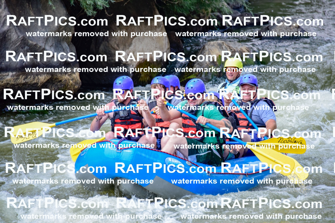 006903_July-25_New-Wave_RAFTPICS_Racecourse-PM_LA-Joey_