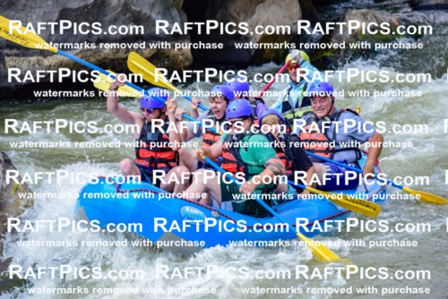 006905_July-25_New-Wave_RAFTPICS_Racecourse-PM_LA-Joey_