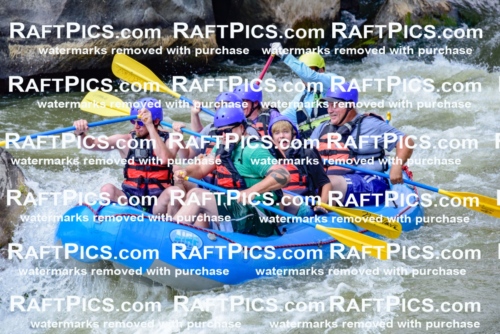 006906_July-25_New-Wave_RAFTPICS_Racecourse-PM_LA-Joey_