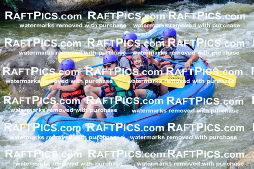 006908_July-25_New-Wave_RAFTPICS_Racecourse-PM_LA-Joey_