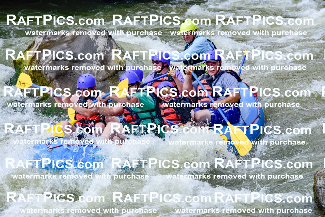 006910_July-25_New-Wave_RAFTPICS_Racecourse-PM_LA-Joey_