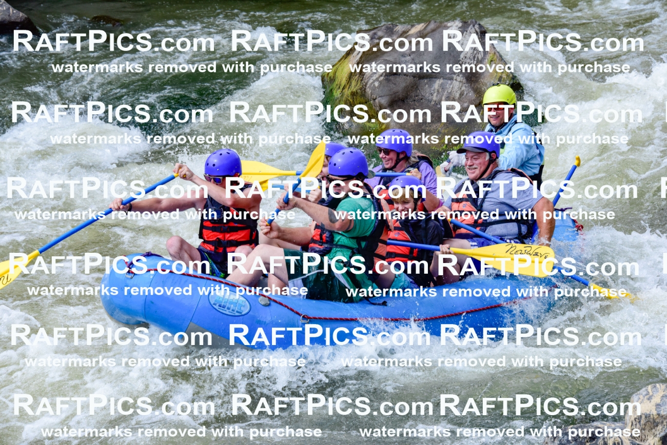 006913_July-25_New-Wave_RAFTPICS_Racecourse-PM_LA-Joey_