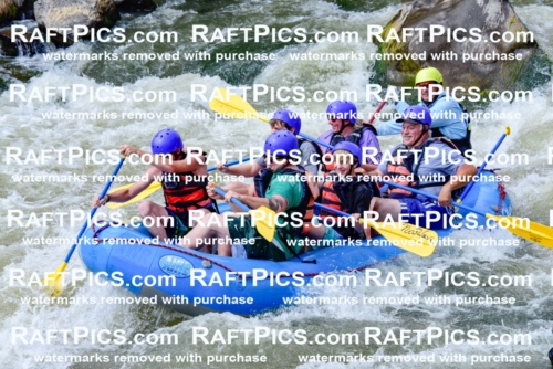 006914_July-25_New-Wave_RAFTPICS_Racecourse-PM_LA-Joey_