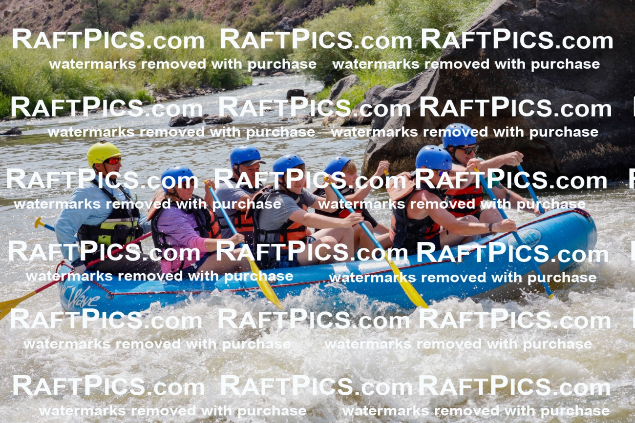 006919_July-25_New-Wave_RAFTPICS_Racecourse-PM_LA-Joey_