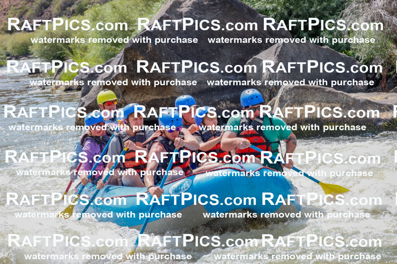 006921_July-25_New-Wave_RAFTPICS_Racecourse-PM_LA-Joey_