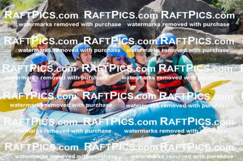 006929_July-25_New-Wave_RAFTPICS_Racecourse-PM_LA-Joey_