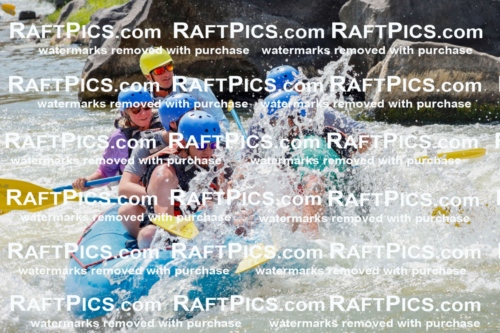 006931_July-25_New-Wave_RAFTPICS_Racecourse-PM_LA-Joey_