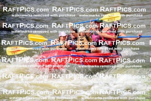 006817_July-25_Los-Rios_RAFTPICS_Racecourse-PM_LA-Rachel_