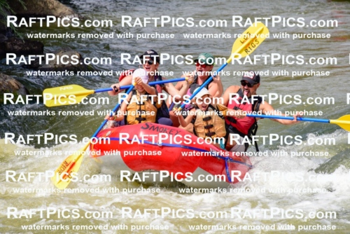 006819_July-25_Los-Rios_RAFTPICS_Racecourse-PM_LA-Rachel_