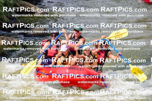 006820_July-25_Los-Rios_RAFTPICS_Racecourse-PM_LA-Rachel_