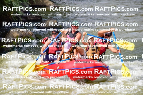 006821_July-25_Los-Rios_RAFTPICS_Racecourse-PM_LA-Rachel_