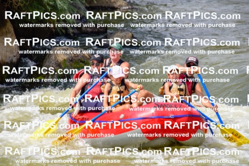 006822_July-25_Los-Rios_RAFTPICS_Racecourse-PM_LA-Rachel_