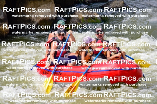 006824_July-25_Los-Rios_RAFTPICS_Racecourse-PM_LA-Rachel_