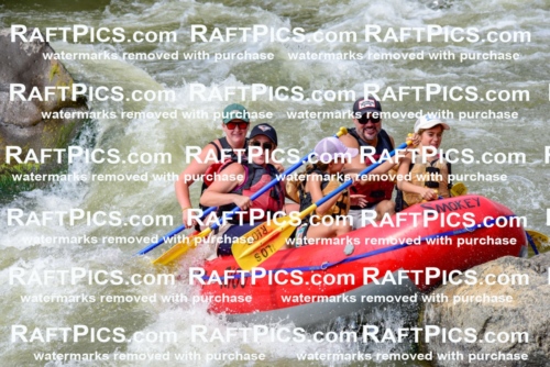 006832_July-25_Los-Rios_RAFTPICS_Racecourse-PM_LA-Rachel_