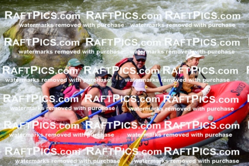 006834_July-25_Los-Rios_RAFTPICS_Racecourse-PM_LA-Rachel_