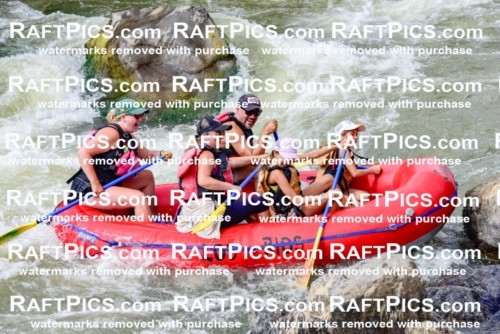 006835_July-25_Los-Rios_RAFTPICS_Racecourse-PM_LA-Rachel_