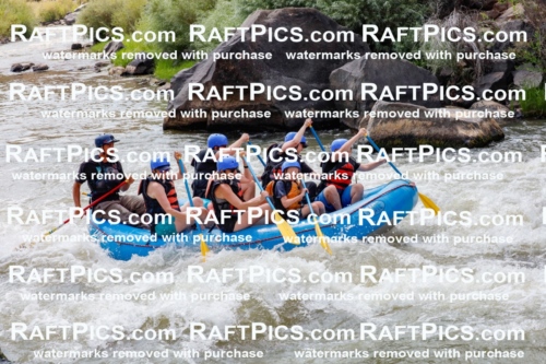 006956_July-25_New-Wave_RAFTPICS_Racecourse-PM_LA-RUI_