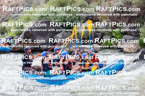 006960_July-25_New-Wave_RAFTPICS_Racecourse-PM_LA-RUI_