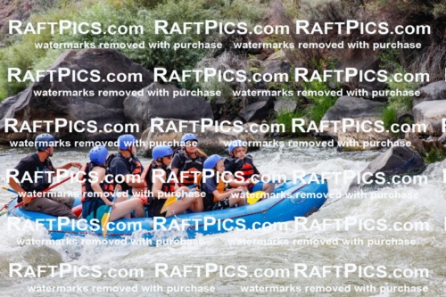 006965_July-25_New-Wave_RAFTPICS_Racecourse-PM_LA-RUI_